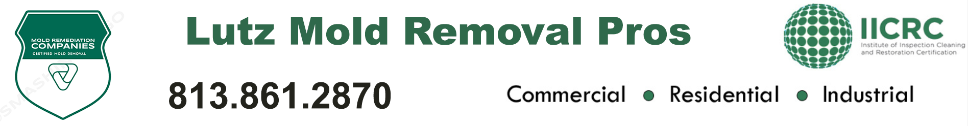 Lutz Mold Removal Pros